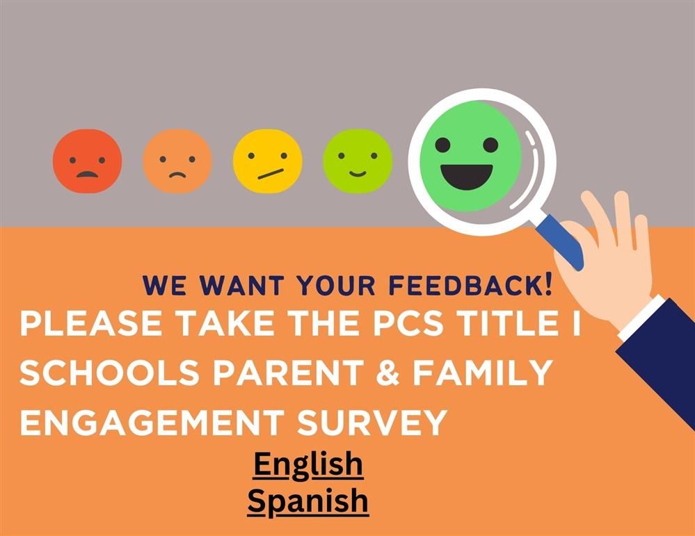  Parent Survey